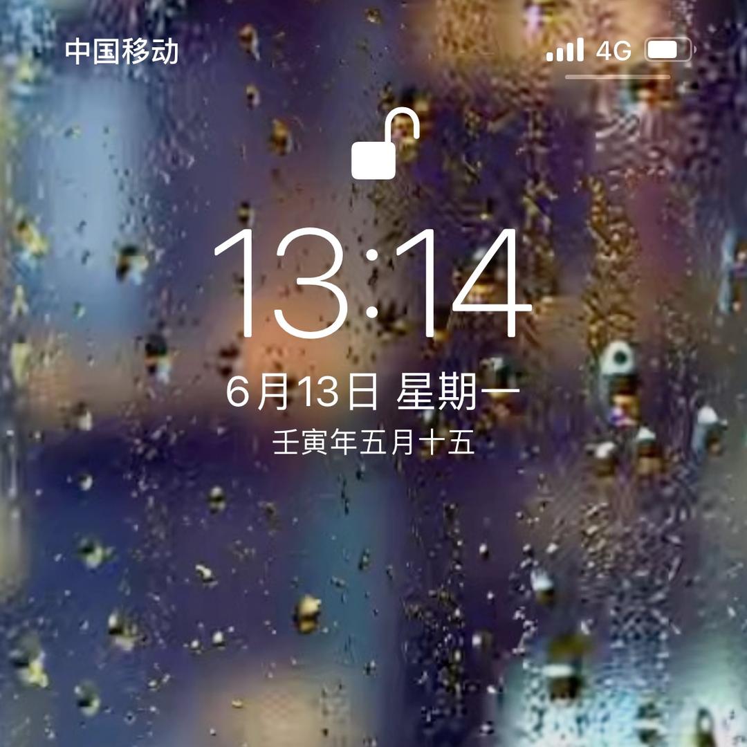 胖胖，好想你啊！
