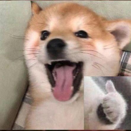 上了一半岸