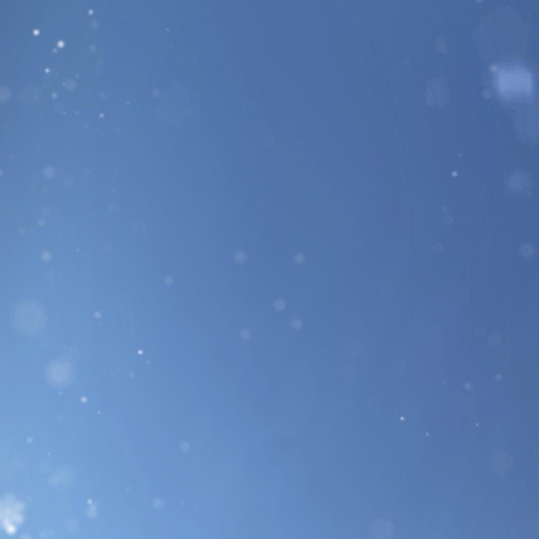 头戴大红花