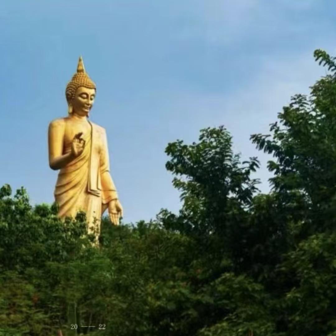 余子梦