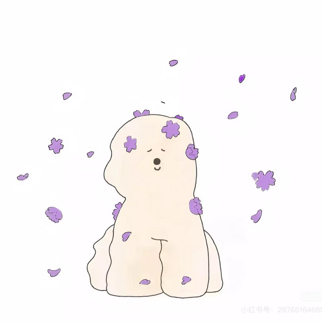 赵露思❤️