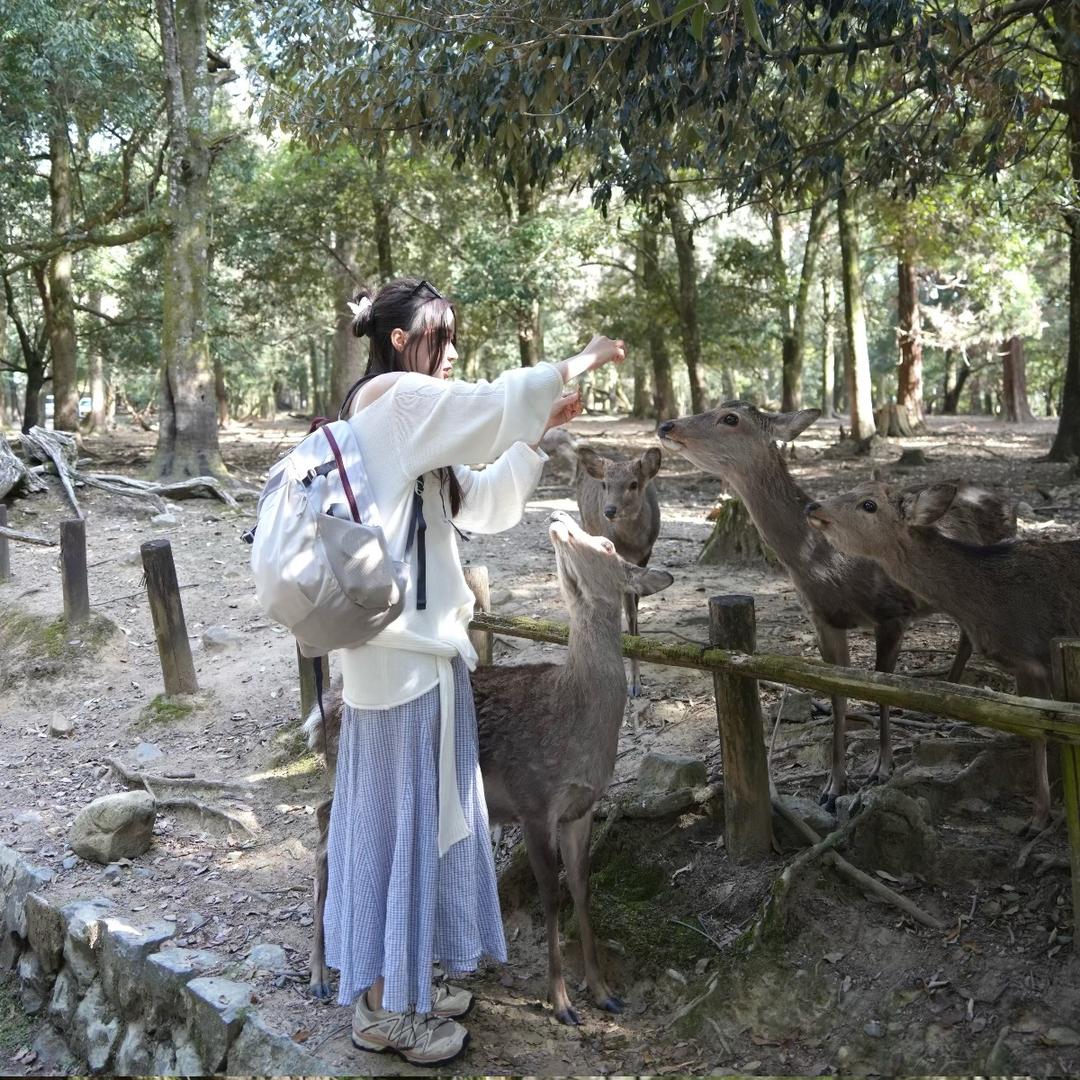 小童趣旅行