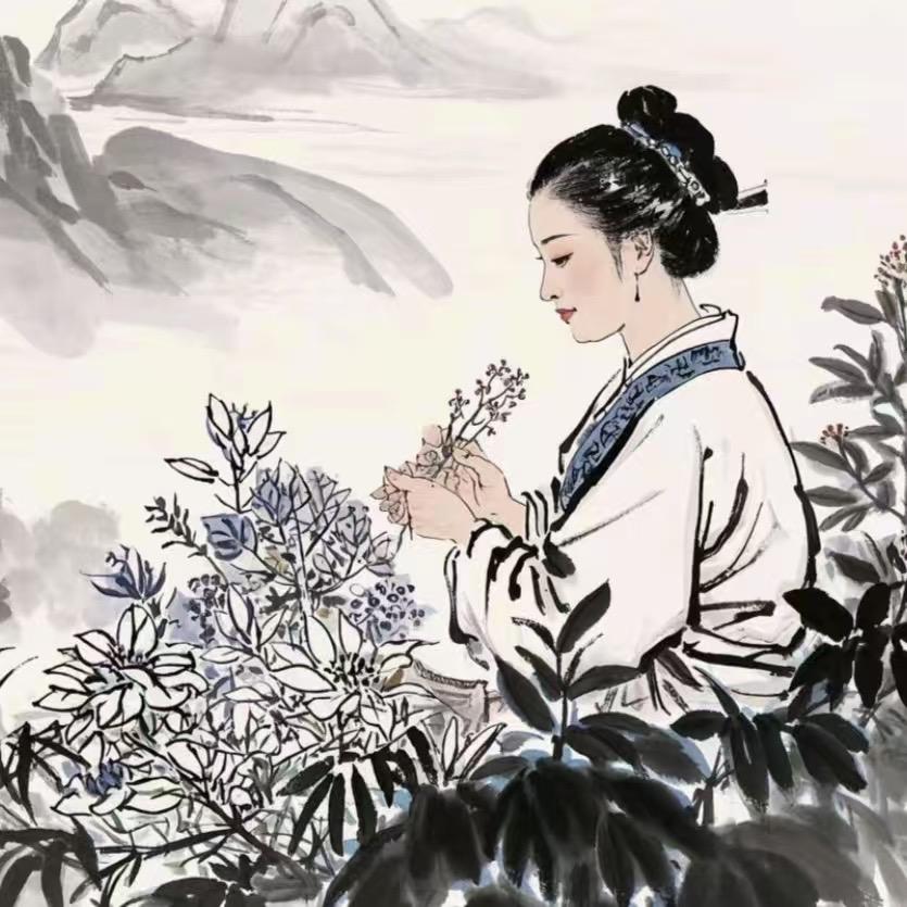 卷饼养生日记