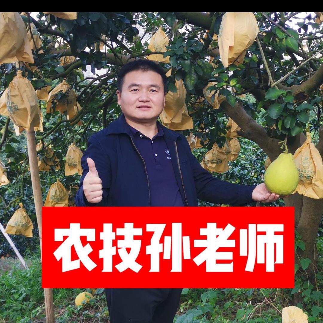 国光孙老师聊调控