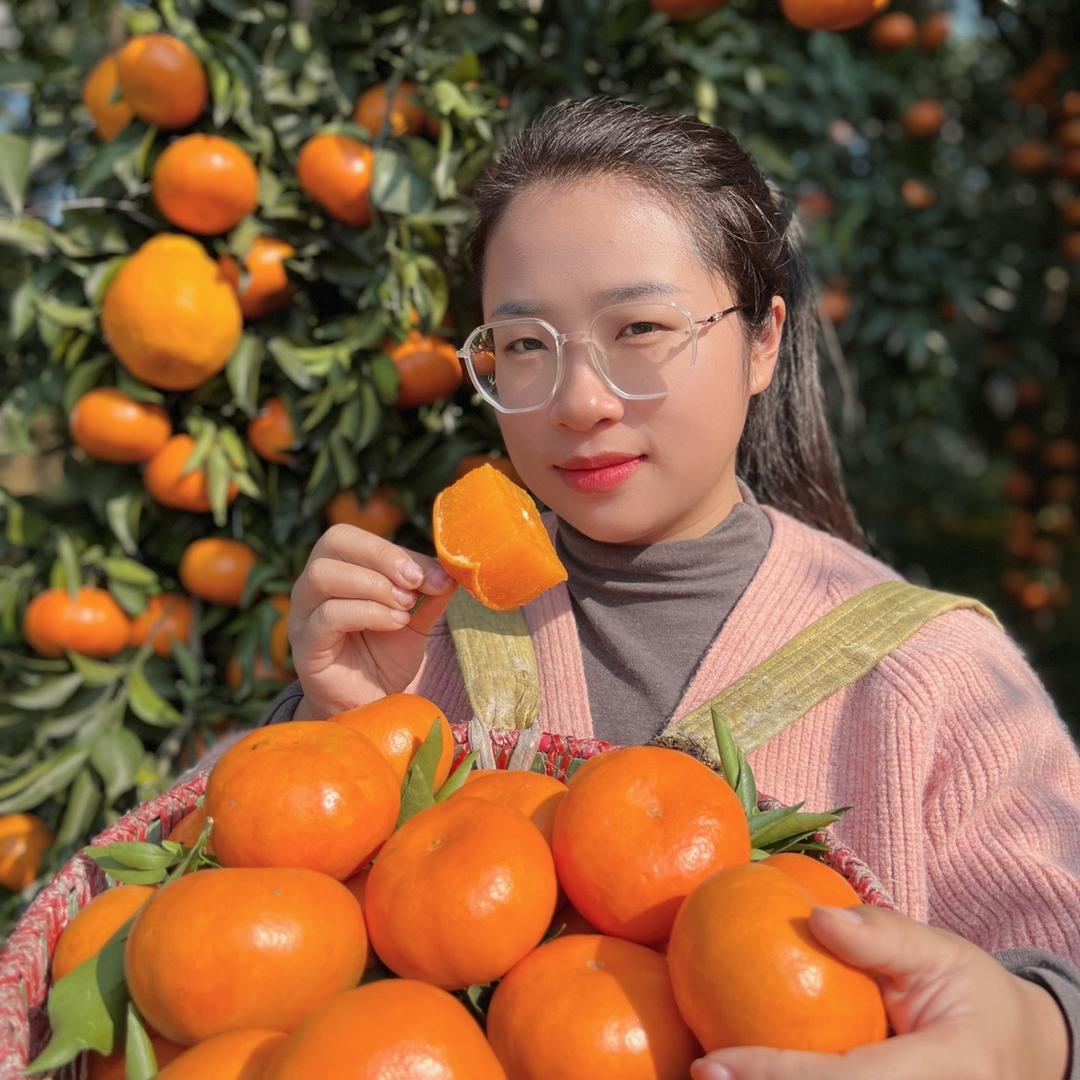 红都毛豆商行