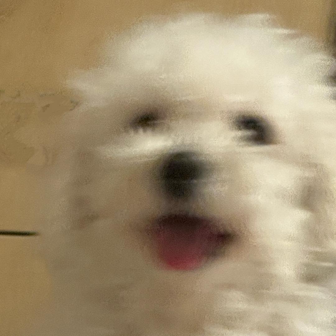 自由是灵魂的氧气🏳️‍🌈🏳️‍🌈