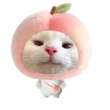 11111111.