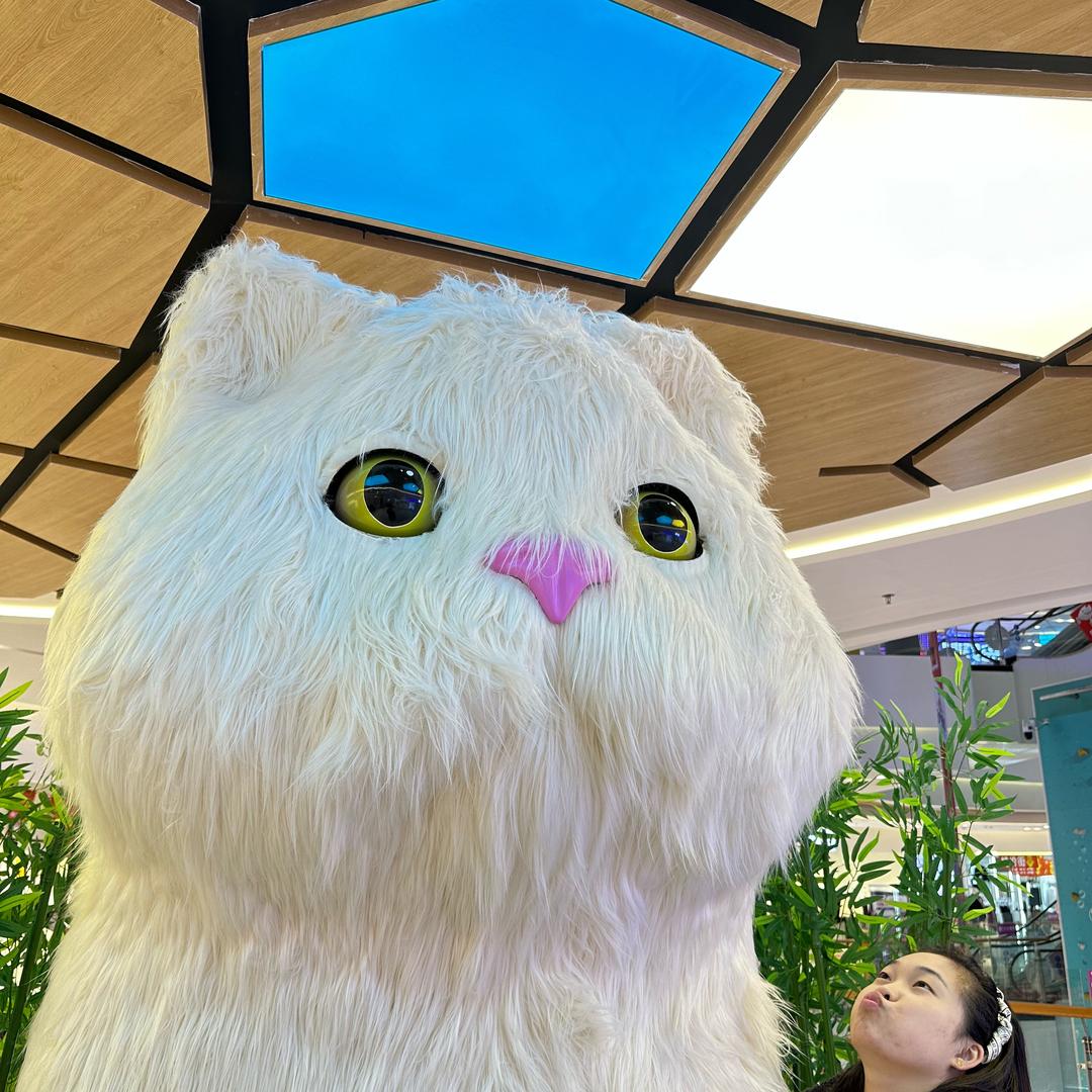 蹦蹦跳跳哒蹦跳