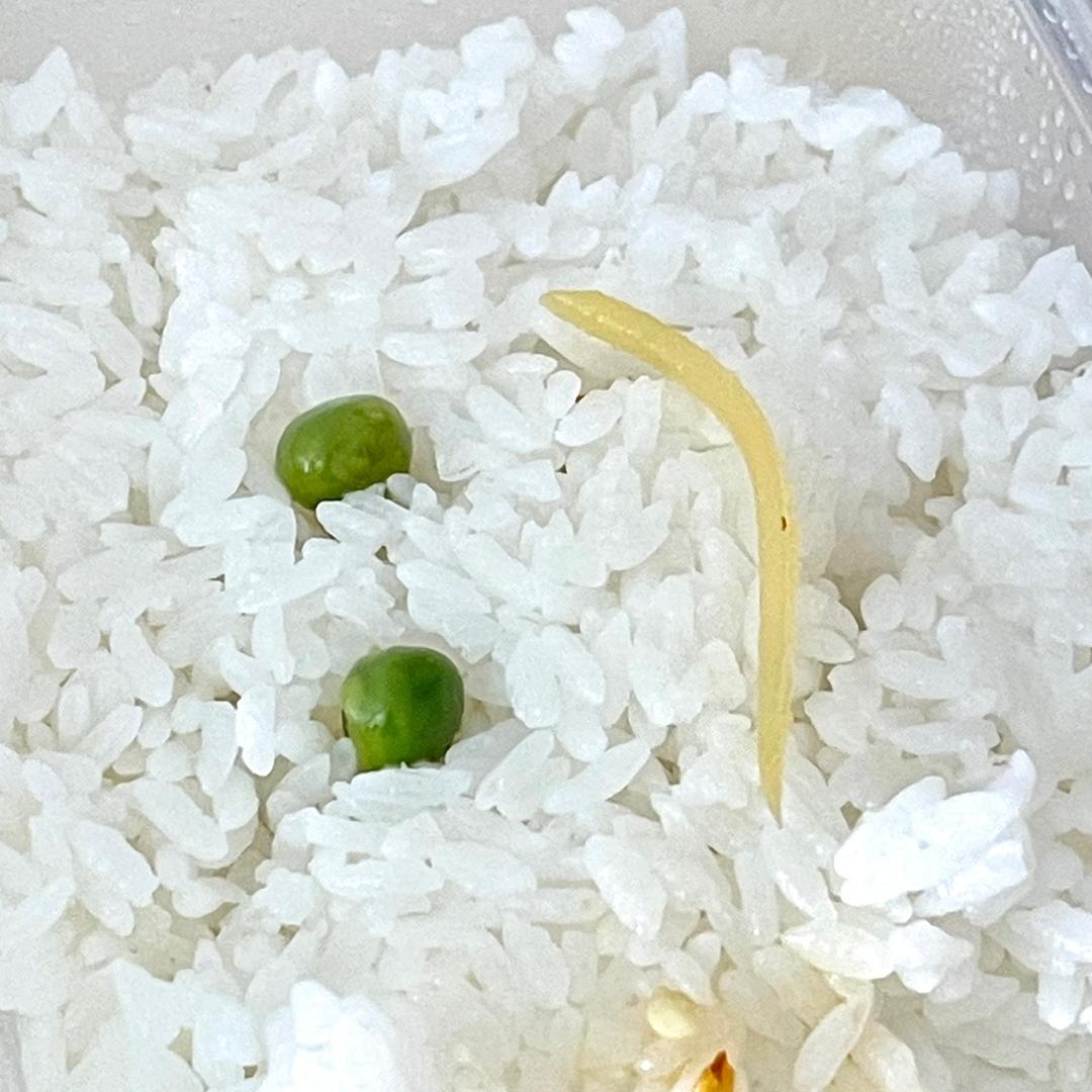 辣条董事长@抖音