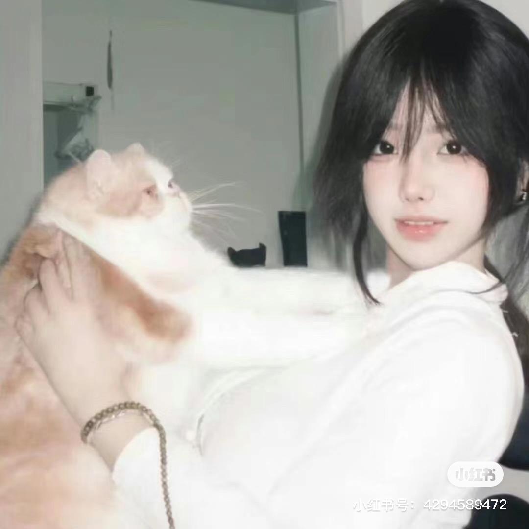 秃秃