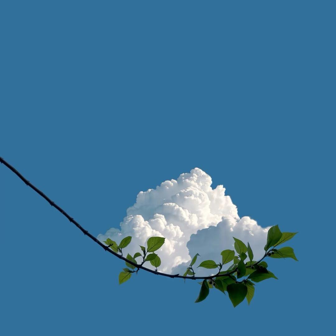 雨伞哥哥⁵²⁸⁸（☀️729）
