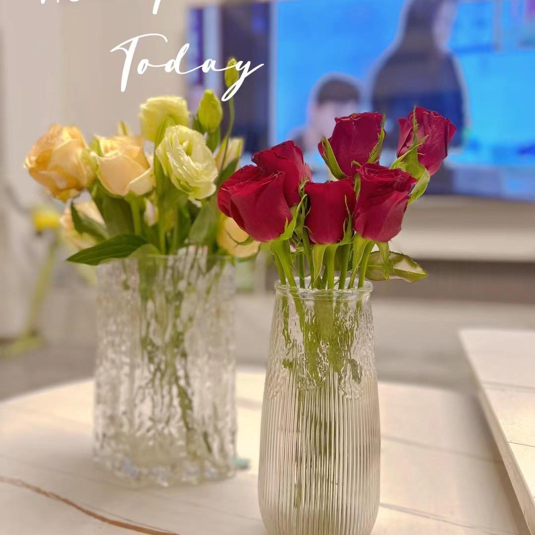 养不养绿植🪴？