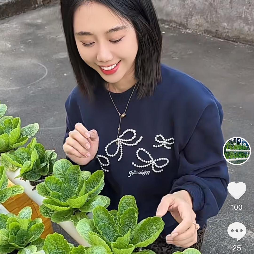 小黄爱种菜