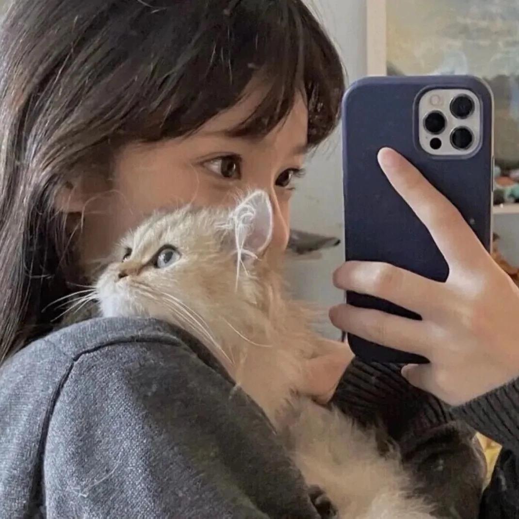 晓 晓 呀