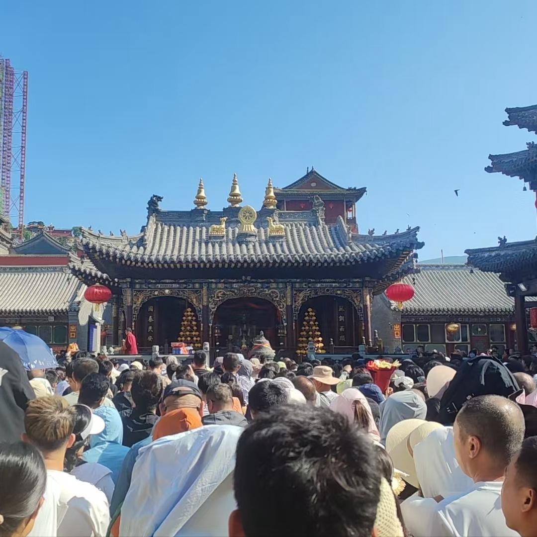 五台山豆豆