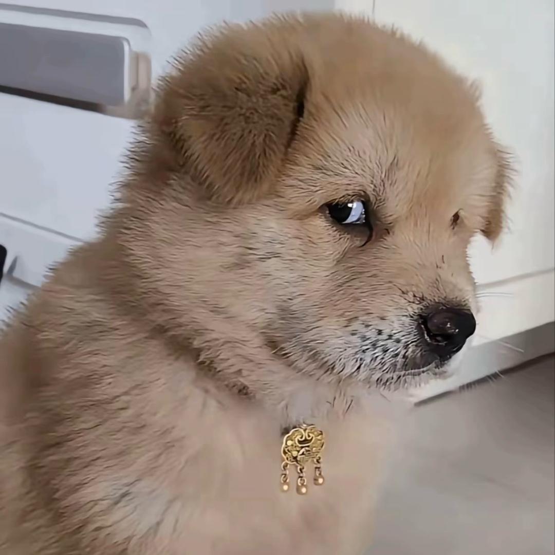 阿宽