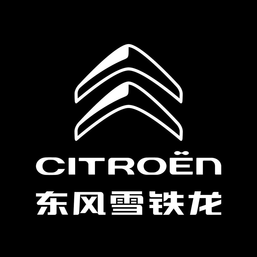 小狮子2号
