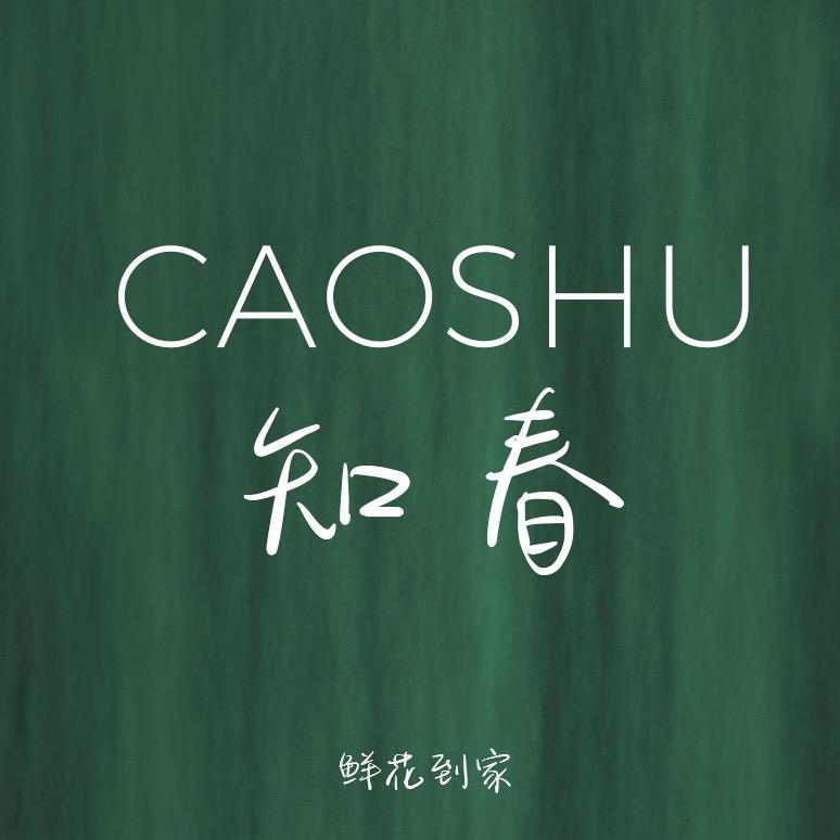 草树知春