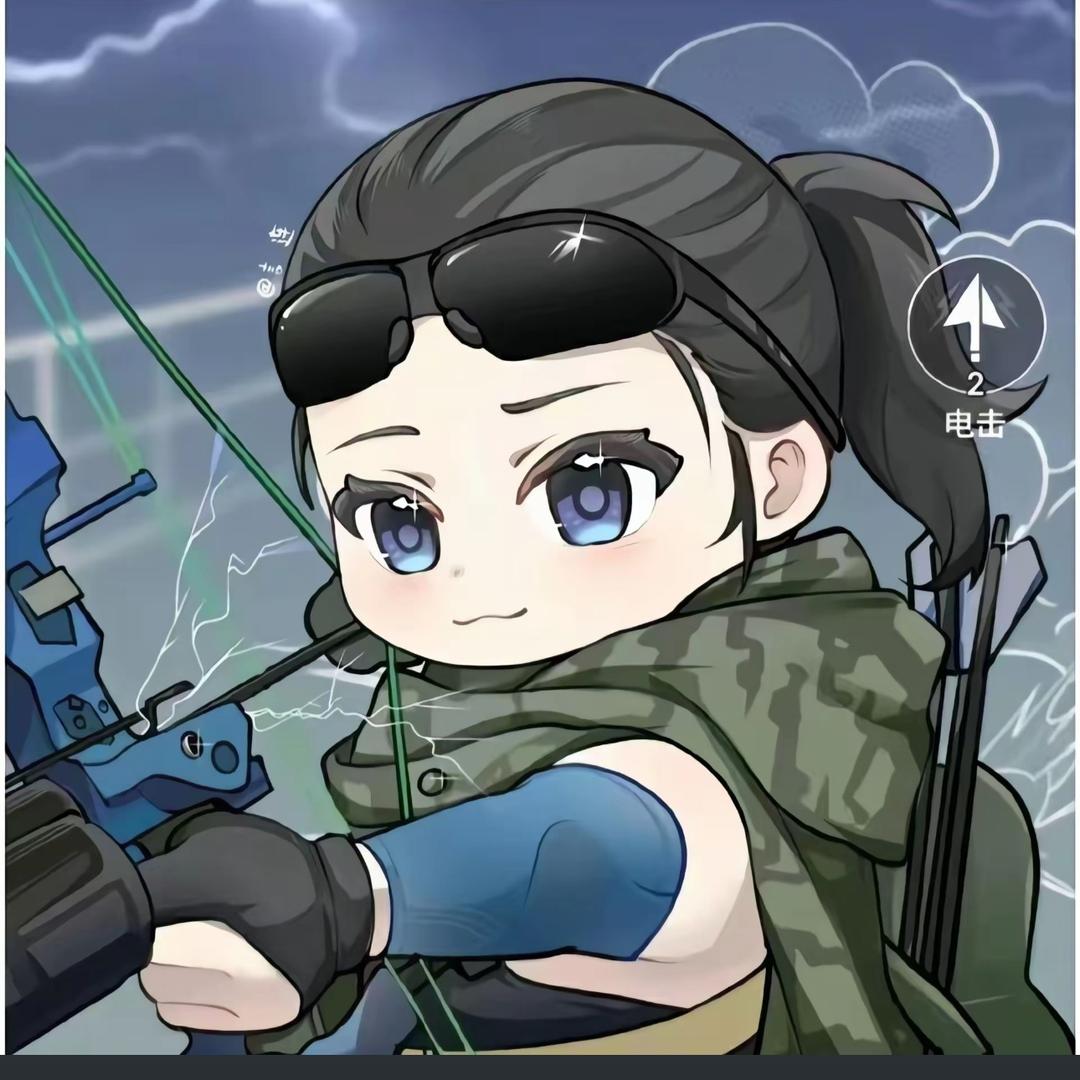 岁岁(三角洲行动)