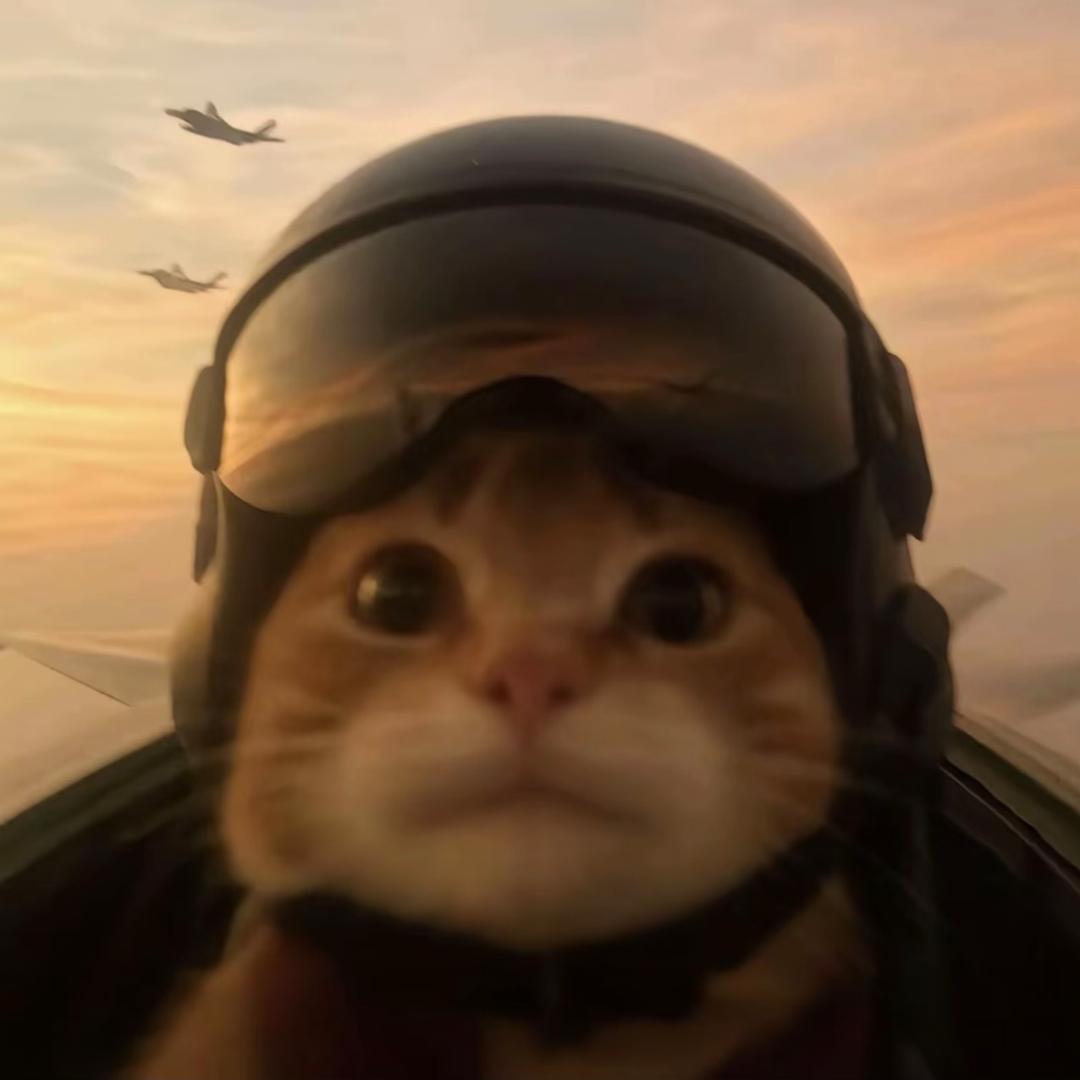 Koo (三角洲行动)