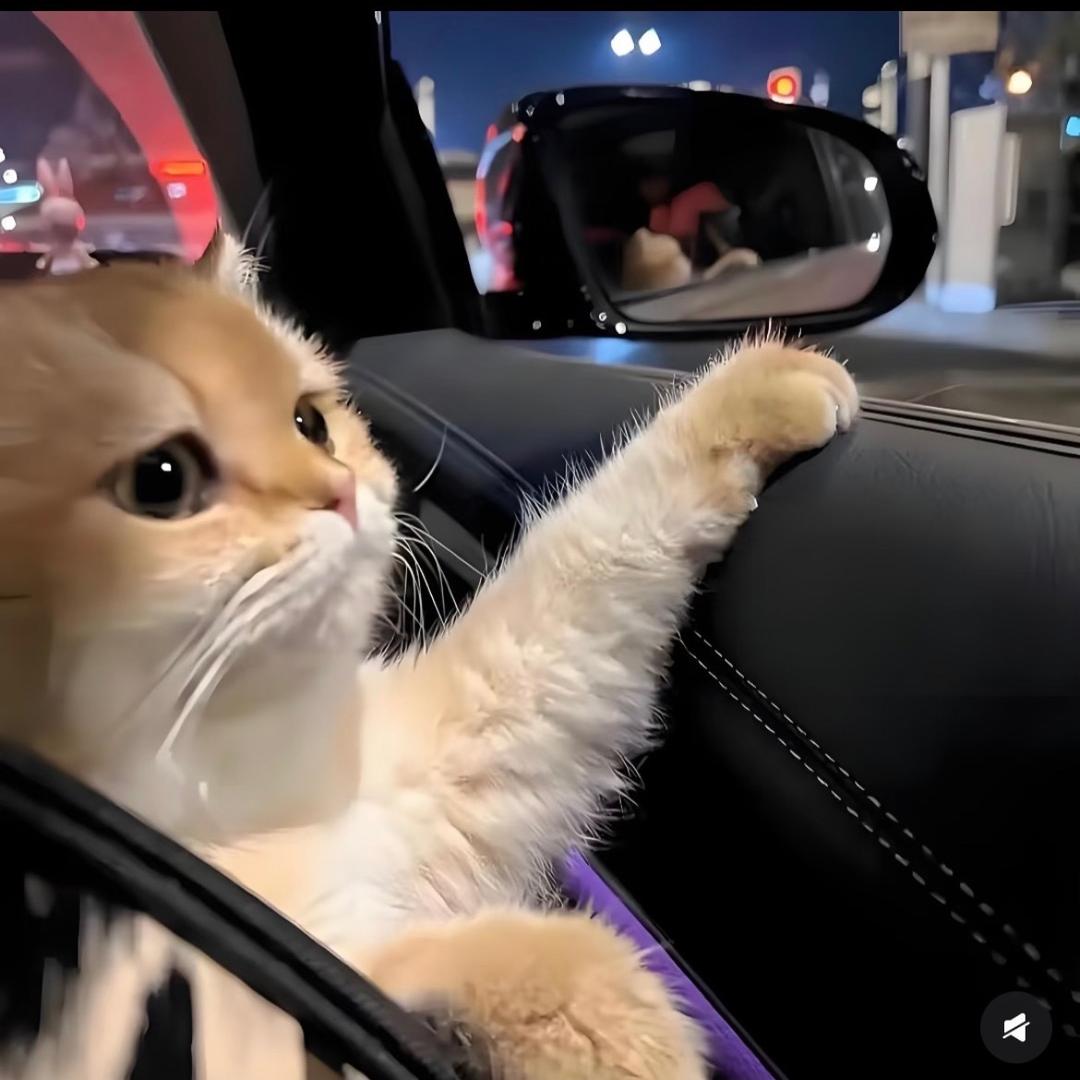 风吹过遗憾