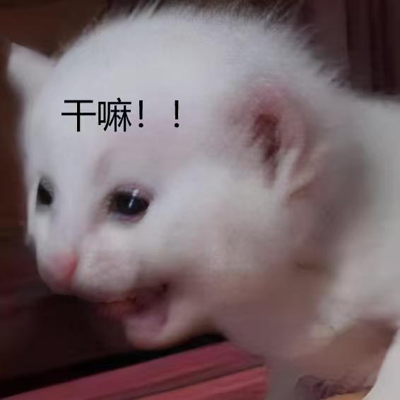 小亂💨