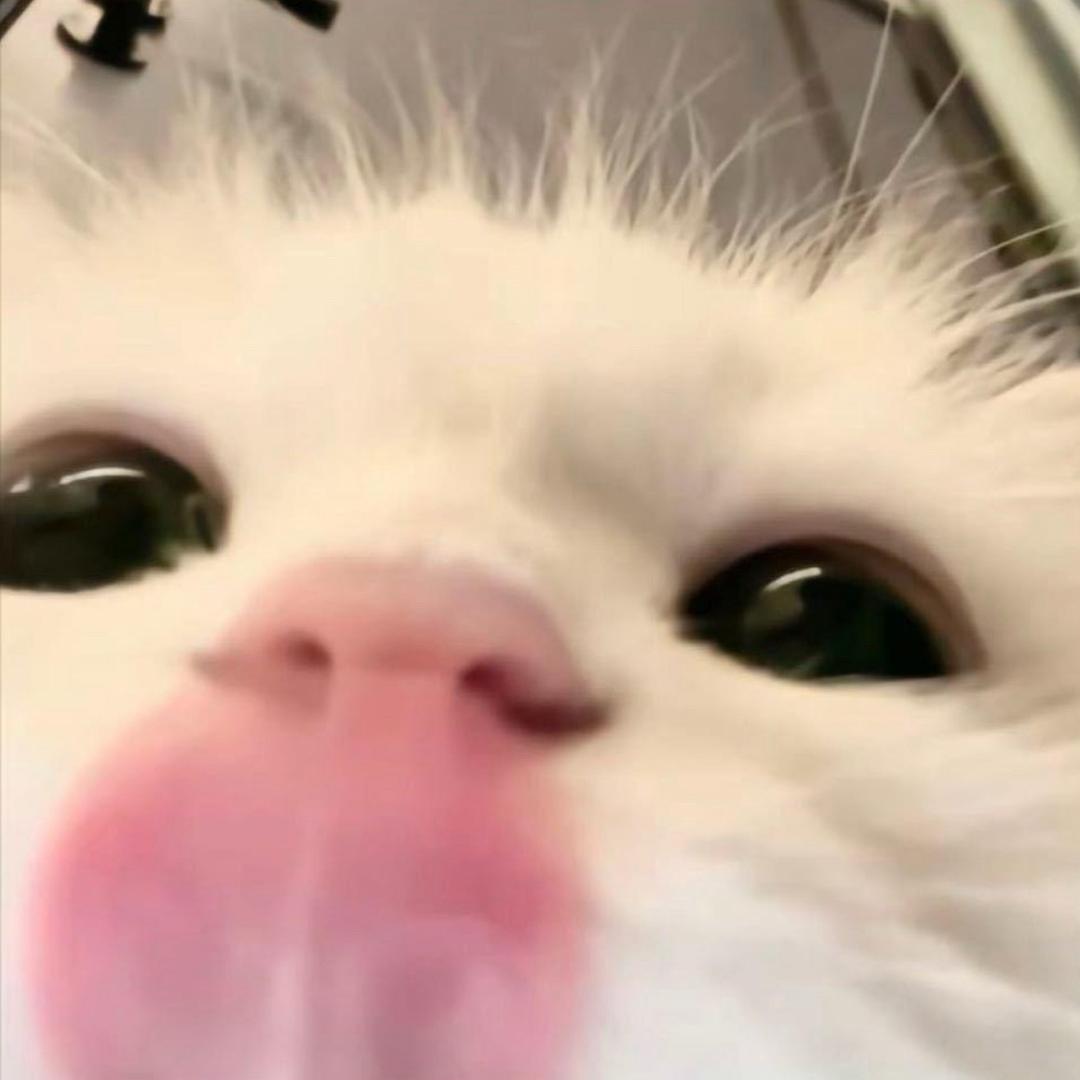 妮酱.