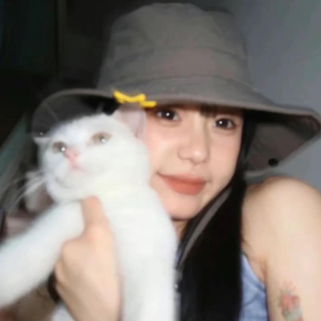 情情