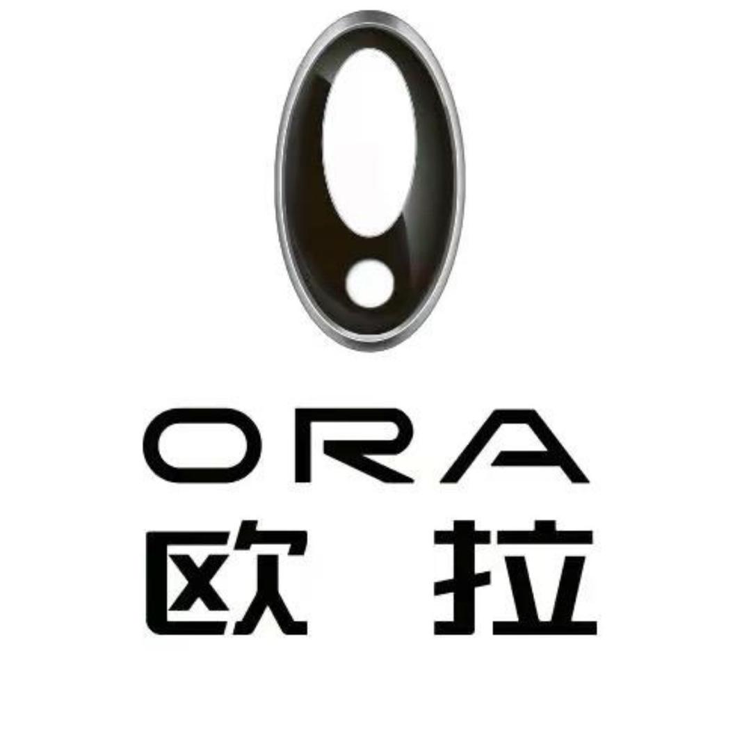 聊城华伟欧拉新能源