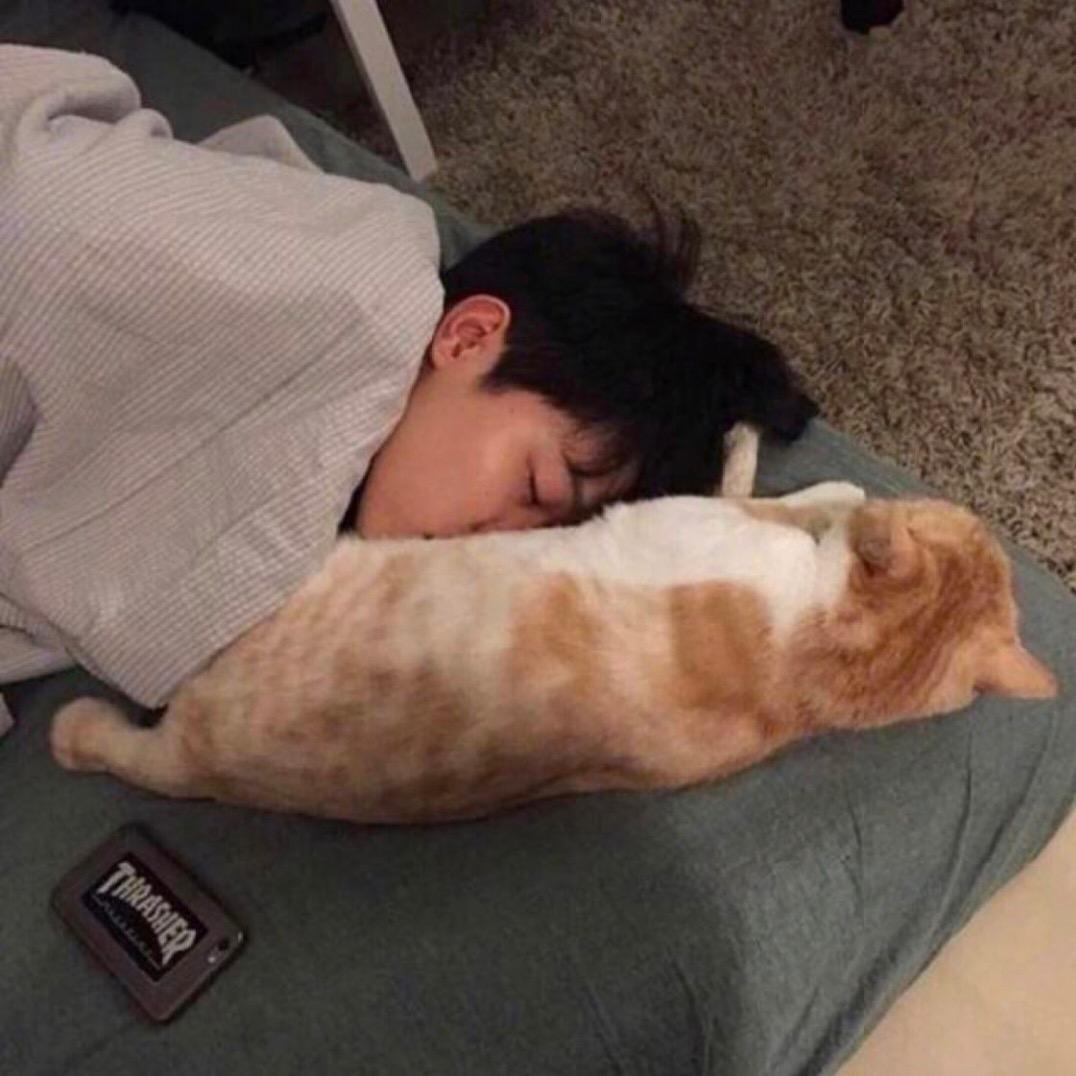 瓜哥要摊牌了