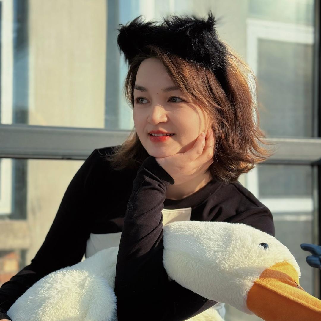 帝王布艺窗帘高端定制