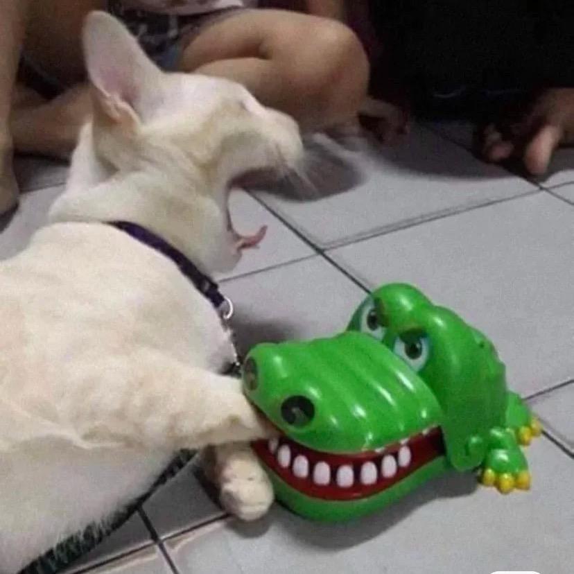 JJbo