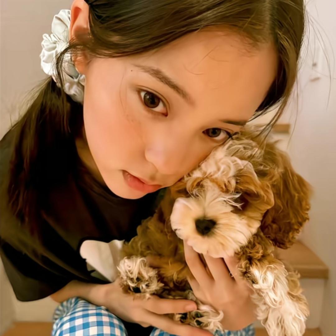 你没好果汁吃🥨