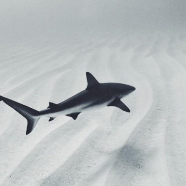 𝙀𝘳𝘪𝘤𝘬𝘶𝘯☔︎︎