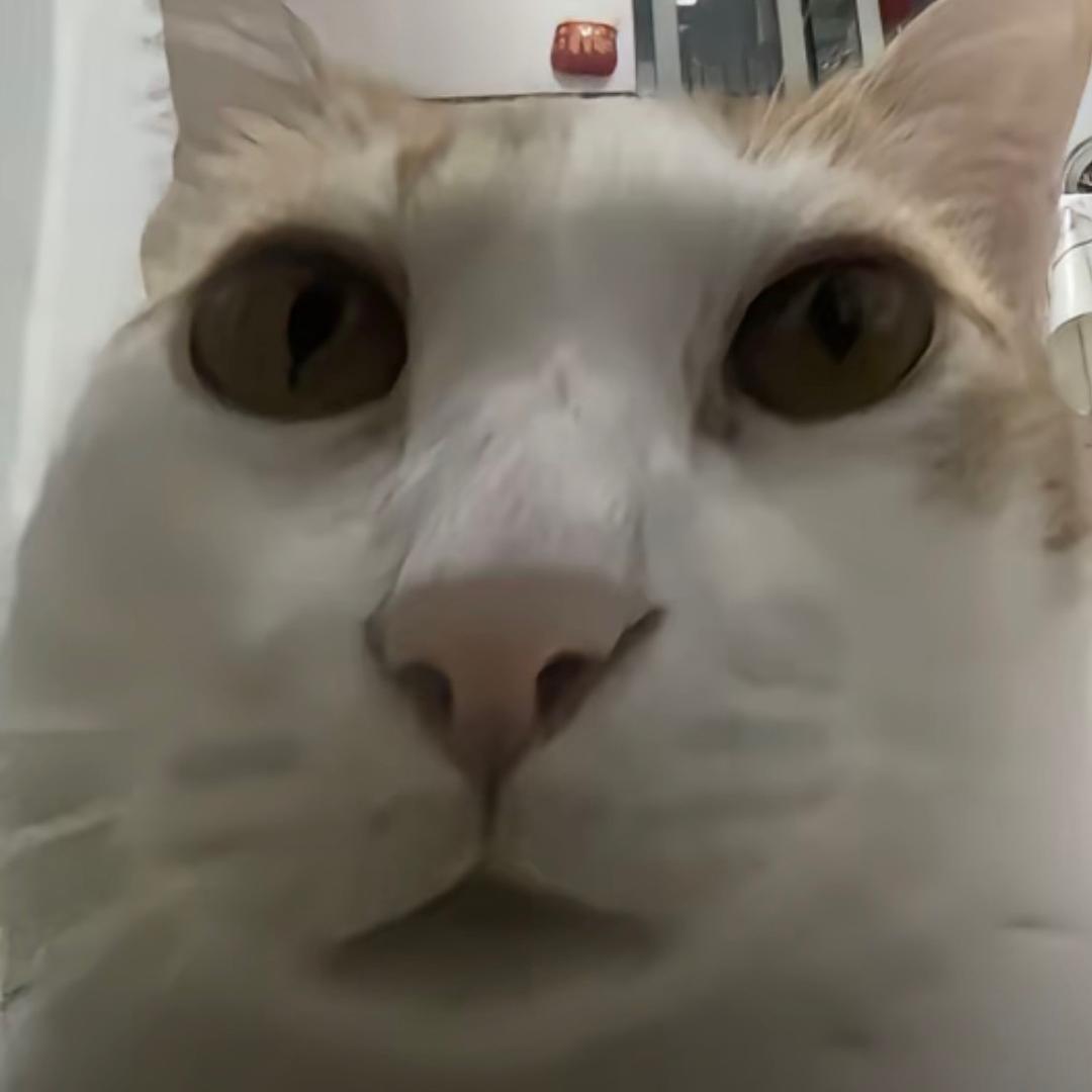 ah