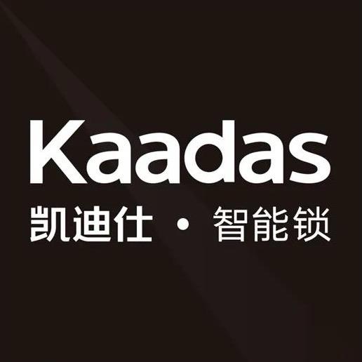 凯迪仕智能锁（襄阳 老河口）