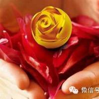 金色阳光☀️