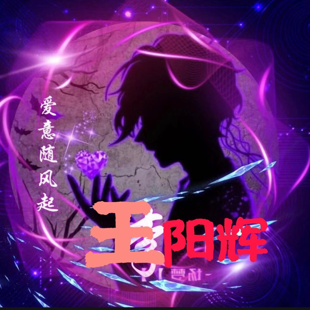 王阳辉