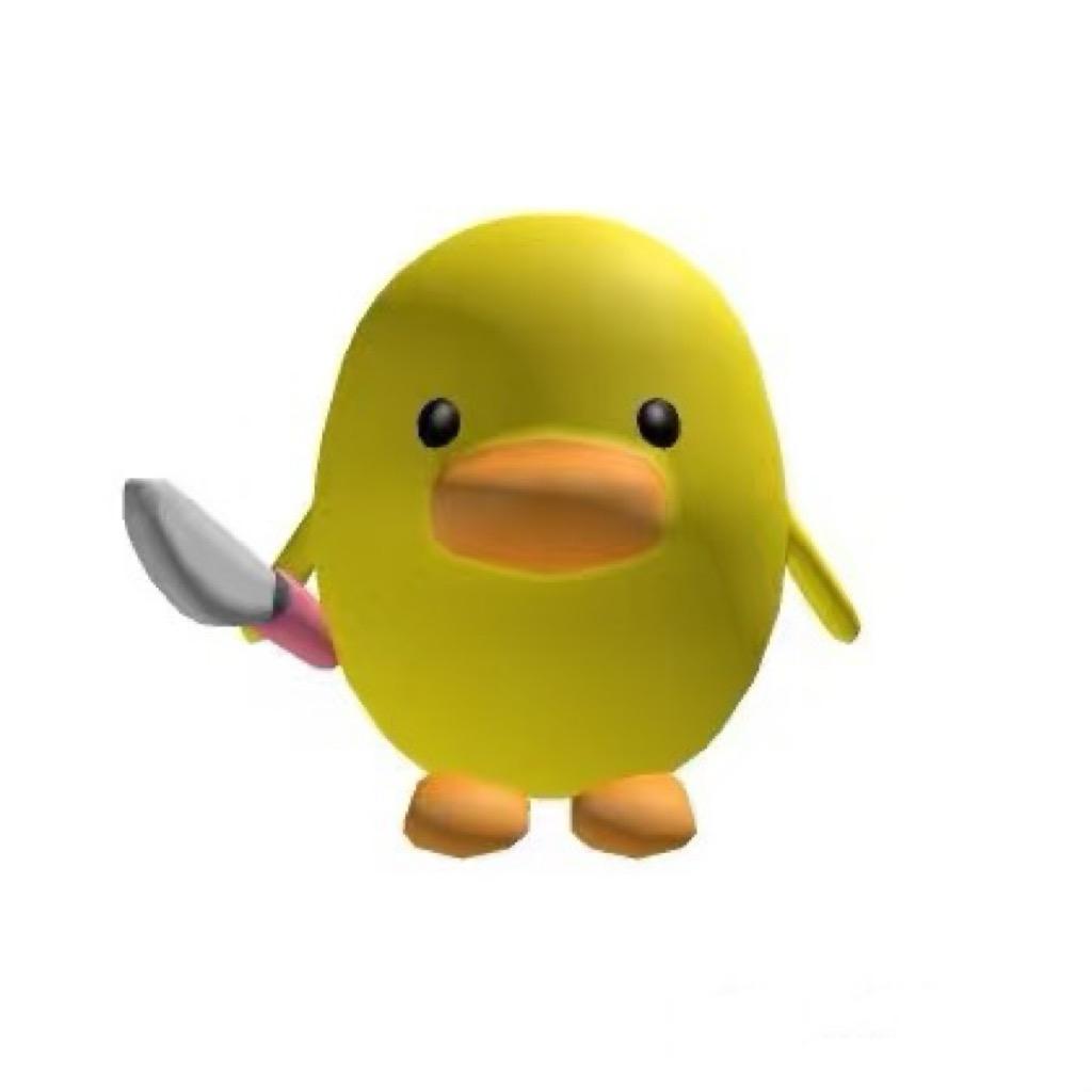 肘肘