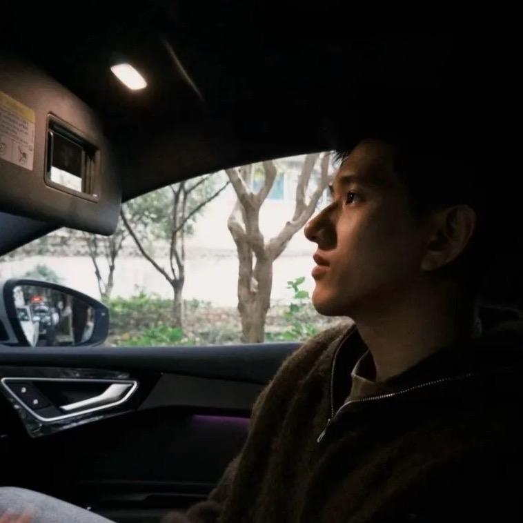 树上岛