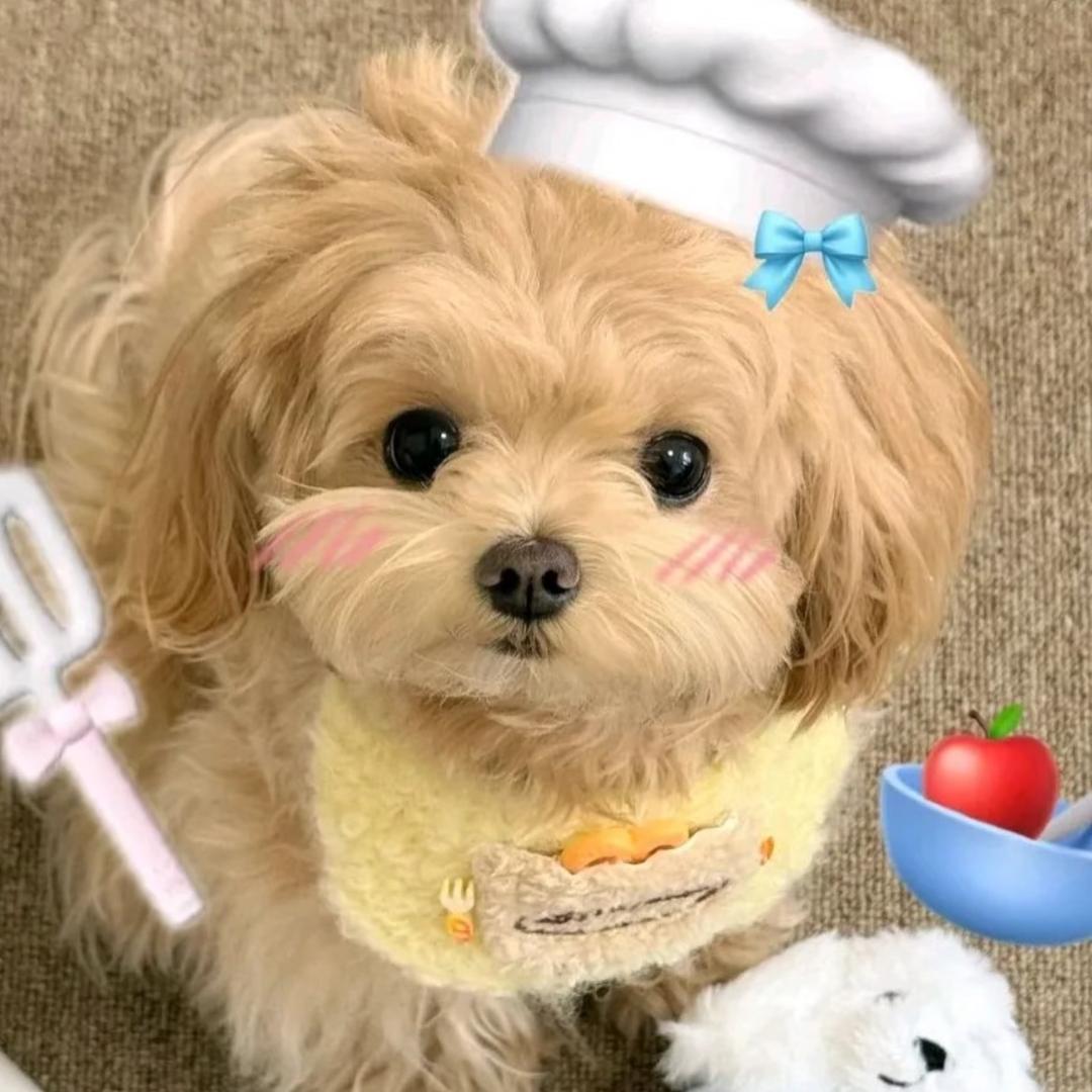 L-shuyi_g