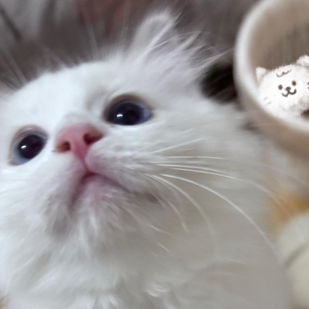百万