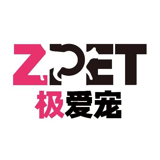 翠恩宠物用品