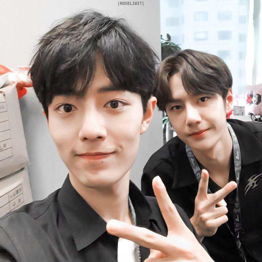 请叫我王小兔Ꮤ