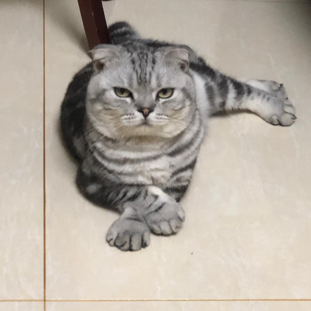 稳住