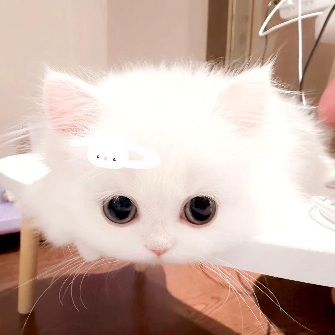 这个月发了