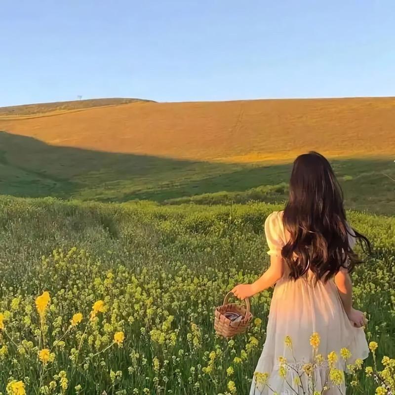 清扬✨婉兮