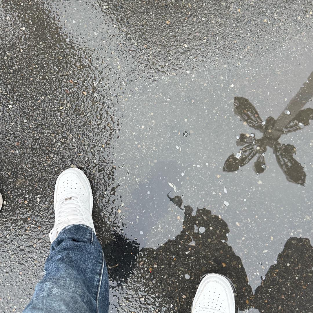 陈浩南.