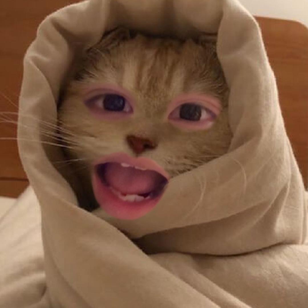 小kk