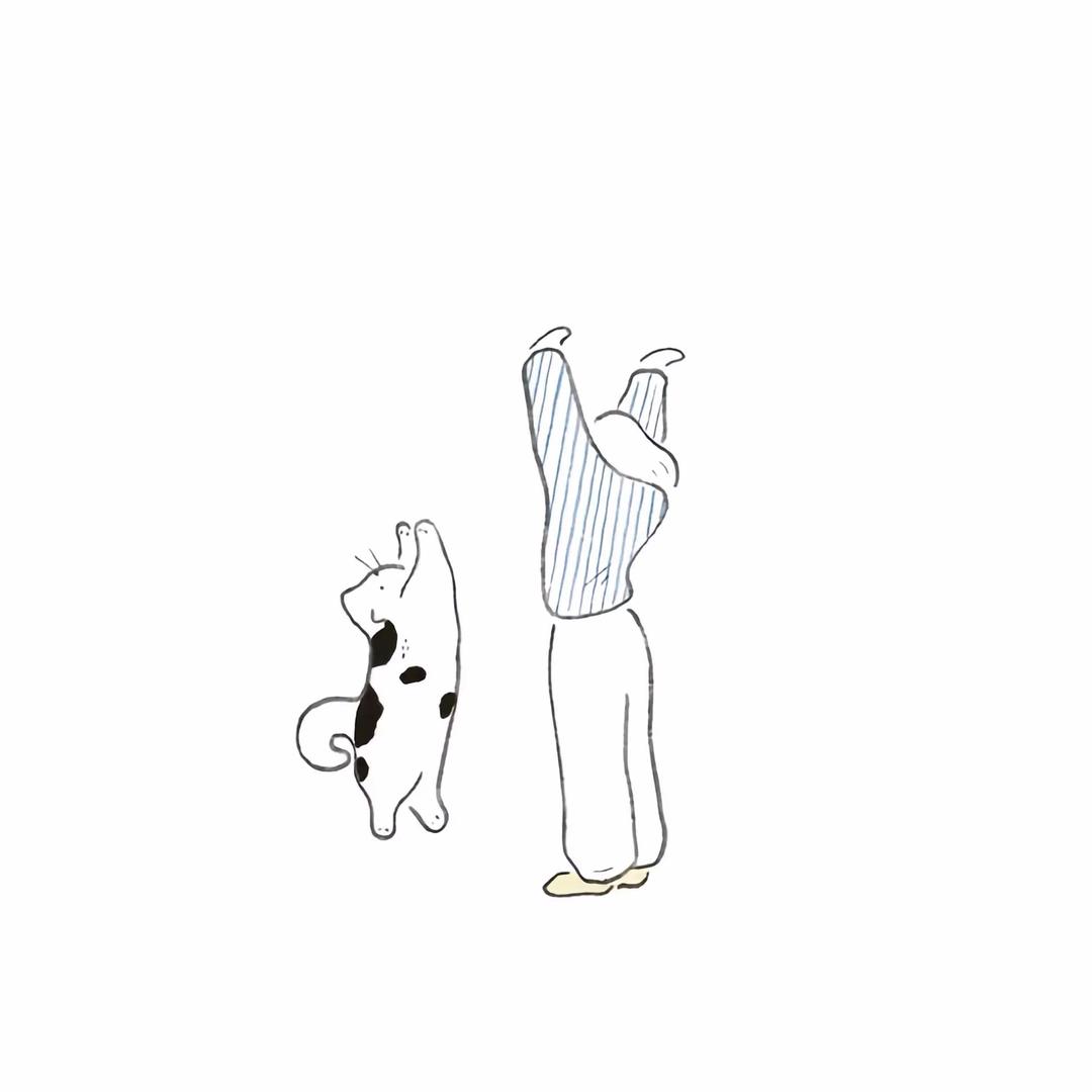 三金是鑫🧸
